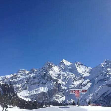 Chalet Sonnenheim Apartment