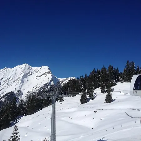 Appartement Chalet Sonnenheim Kandersteg
