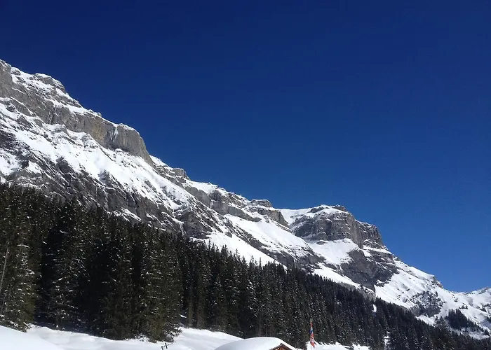 Chalet Sonnenheim * Kandersteg